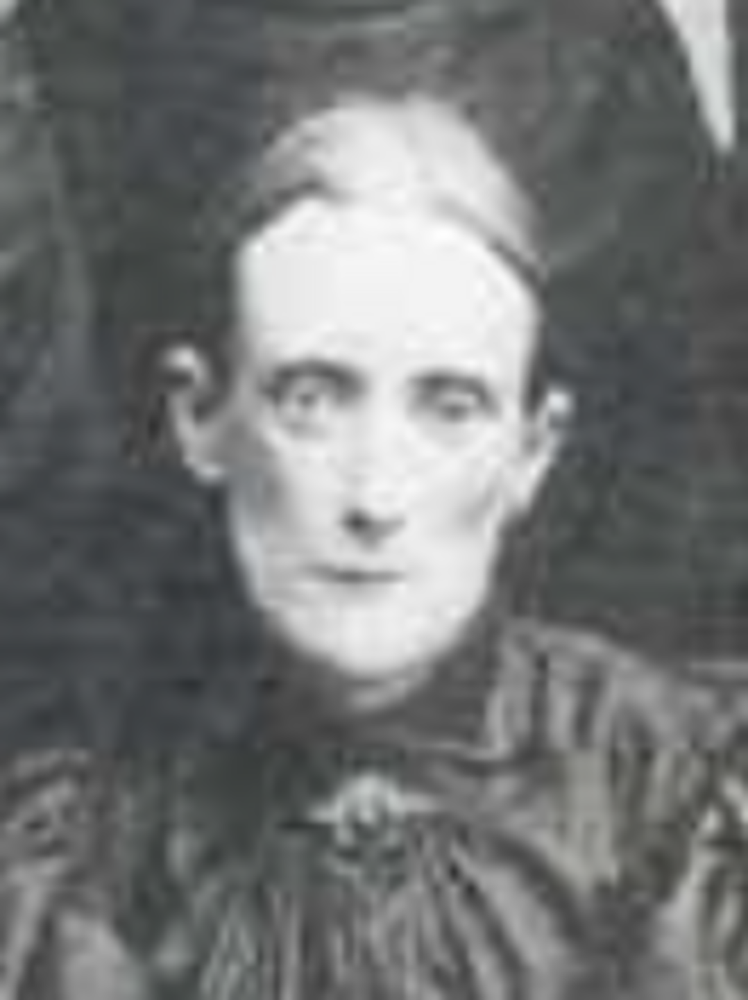 Margaret Prescott (1853 - 1919) Profile